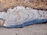 20100108_215354P1080038_.JPG