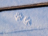 20100108_220228P1080044_.JPG