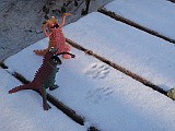 20100108_220409P1080047_.JPG