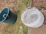 20100115_220222P1150088_.JPG