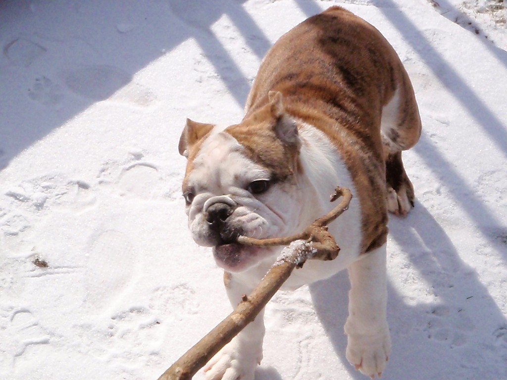 20100108_030821P1080022_