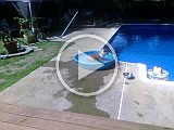 CIMG0187.mp4