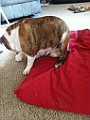 IPhone Pics 009.JPG