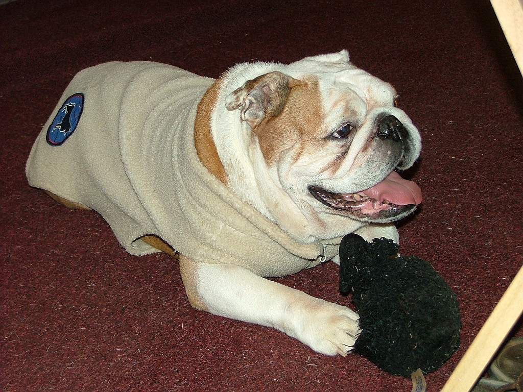 20090116_019