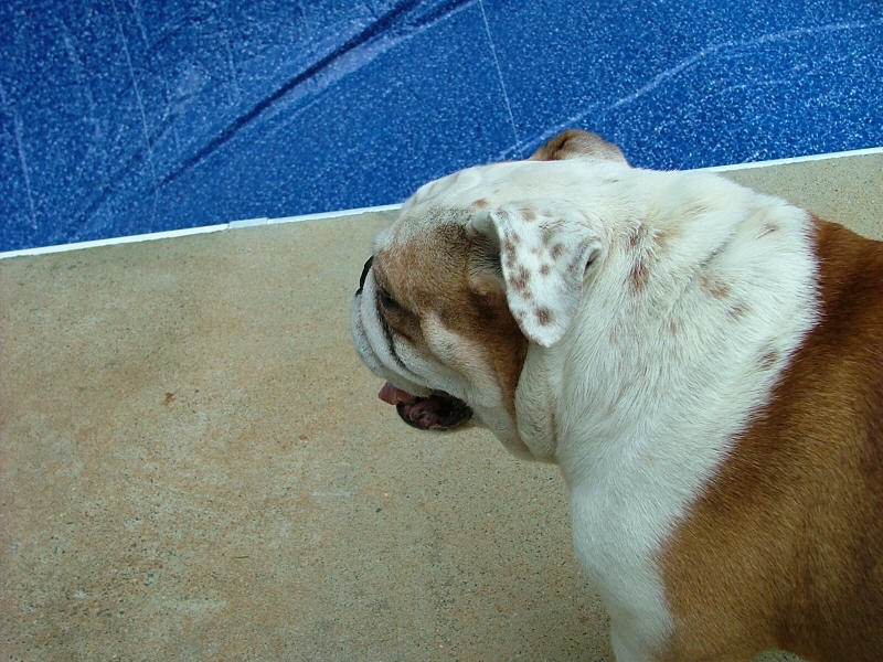 DSCF3674