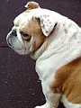 DSCF3041.JPG