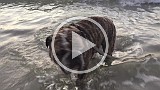 20150614_101555846_iOS.mp4
