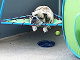 20150710_133556293_iOS.jpg