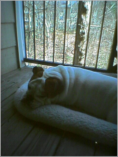 ChillinOnBalcony