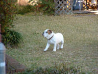 DSCF0090