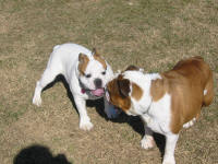 Play Day 4