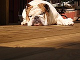 20090711_022.JPG