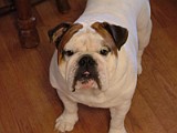 DSCF2993.JPG