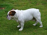 DSCF3068.JPG