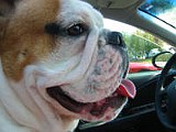 IMG_0124.JPG
