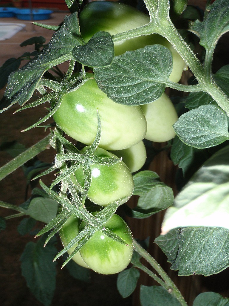 20090710_043
