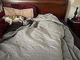 IMG_4438.jpg