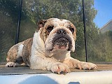 IMG_4530.jpg