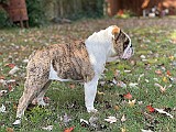 IMG_8271.jpg